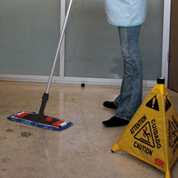 Flat Mops & Scrubbers